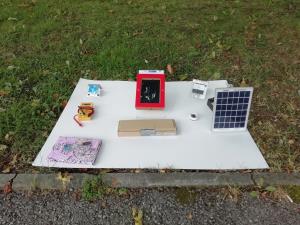 DELAVNICA 3, DANIJELA STERLE